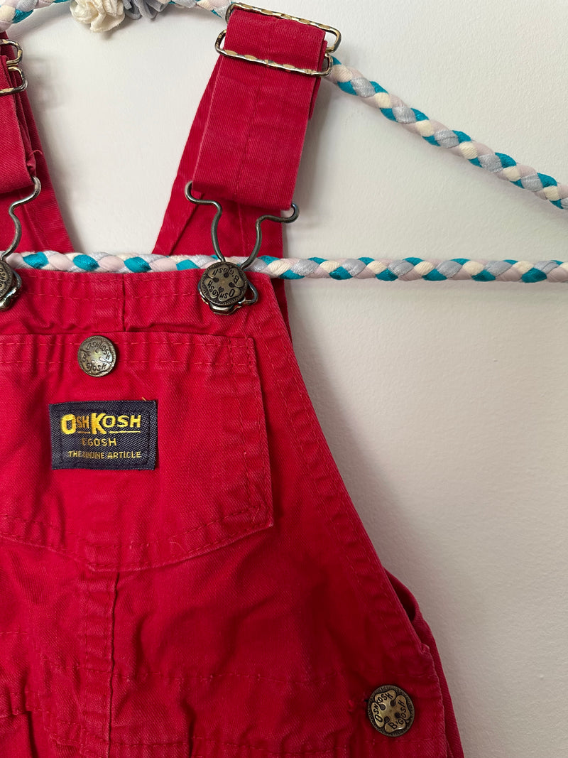 VINTAGE OVERALLS / 2Y